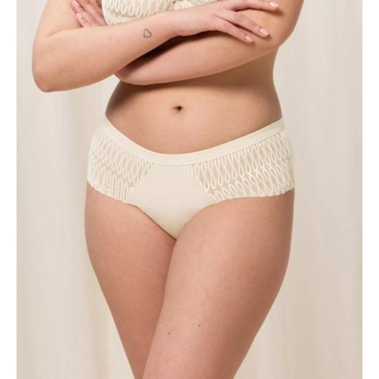 Aura Spotlight Maxi Brief- Creamy Dream