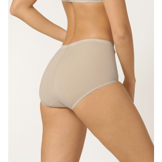 Basic + Maxi Briefs 4pk- Beige