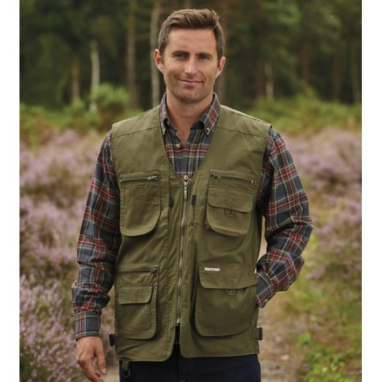 Champion Dale Gilet Olive