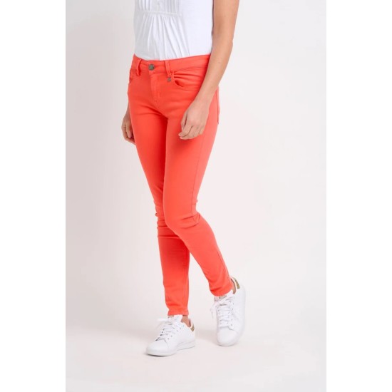 Dianthus Jeans- Coral
