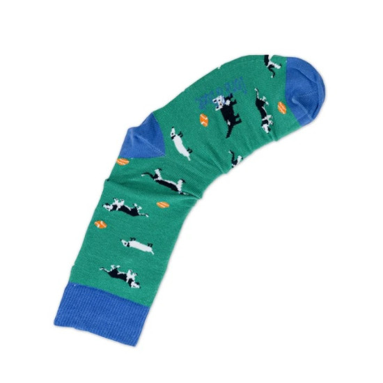 Doris & Dude Bamboo Socks - Green Dog