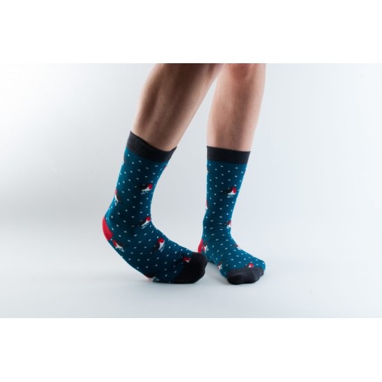  Doris & Dude Bamboo Socks Teal Robins