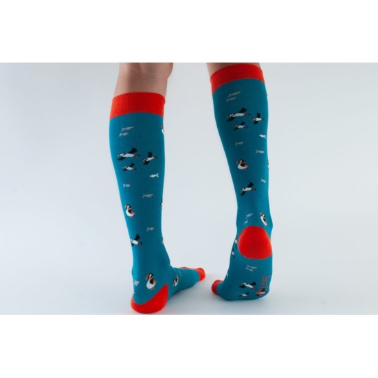  Doris & Dude Bamboo Socks Teal Puffin