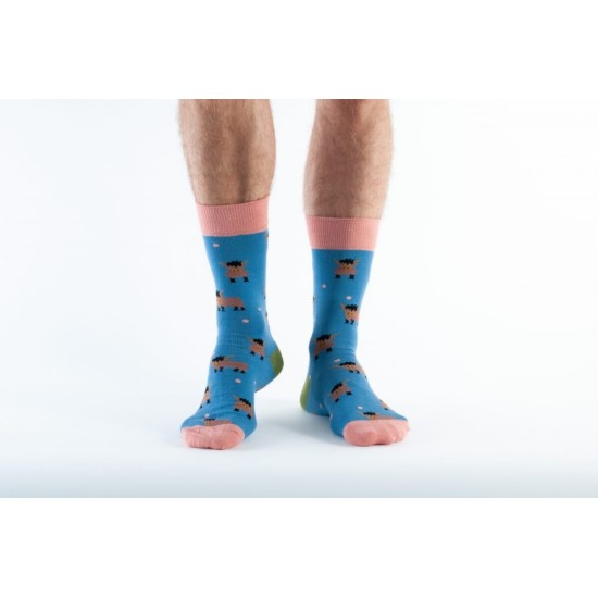 Doris & Dude Socks    Blue highland cow