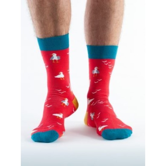 Doris & Dude Socks    Red Seagull