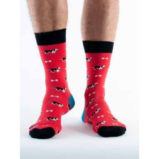 Doris & Dude Socks   Red Dogs
