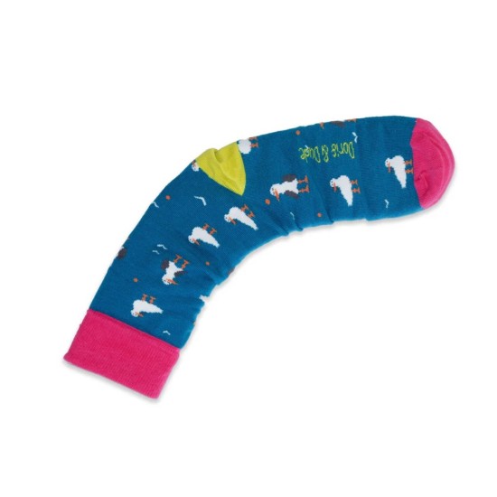 Doris & Dude Socks  Teal Seagull