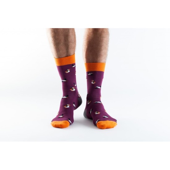 Doris & Dude Socks Burgundy Puffins