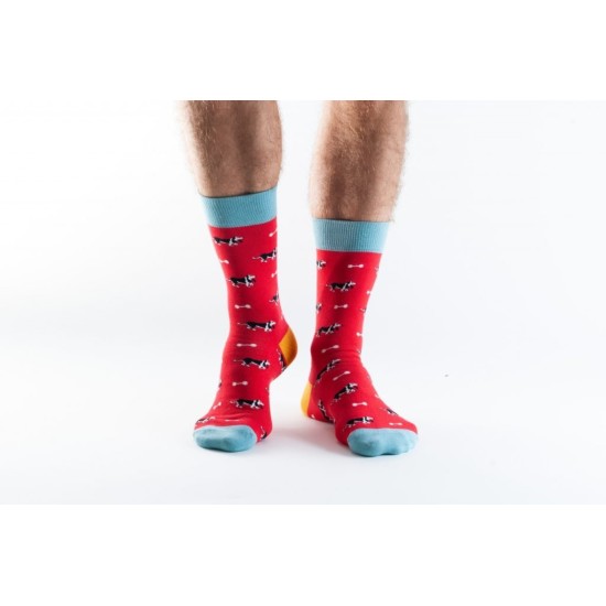 Doris & Dude Socks Red Dogs