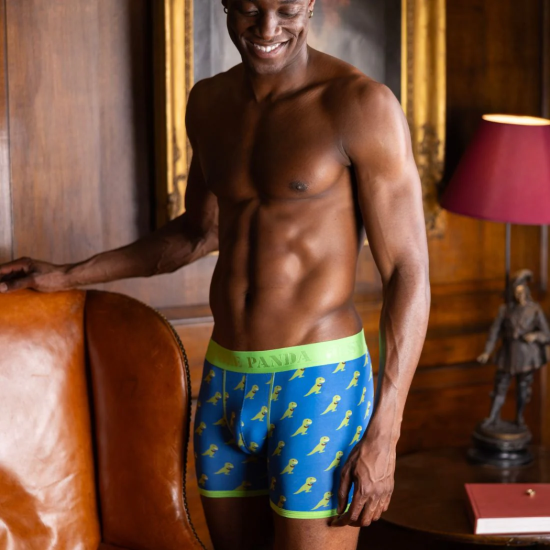 Swole Panda Bamboo Trunks - T-Rex